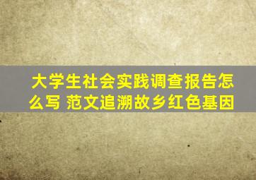 大学生社会实践调查报告怎么写 范文追溯故乡红色基因
